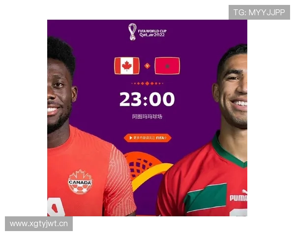 2026世界杯F组谁会拿到小组第一